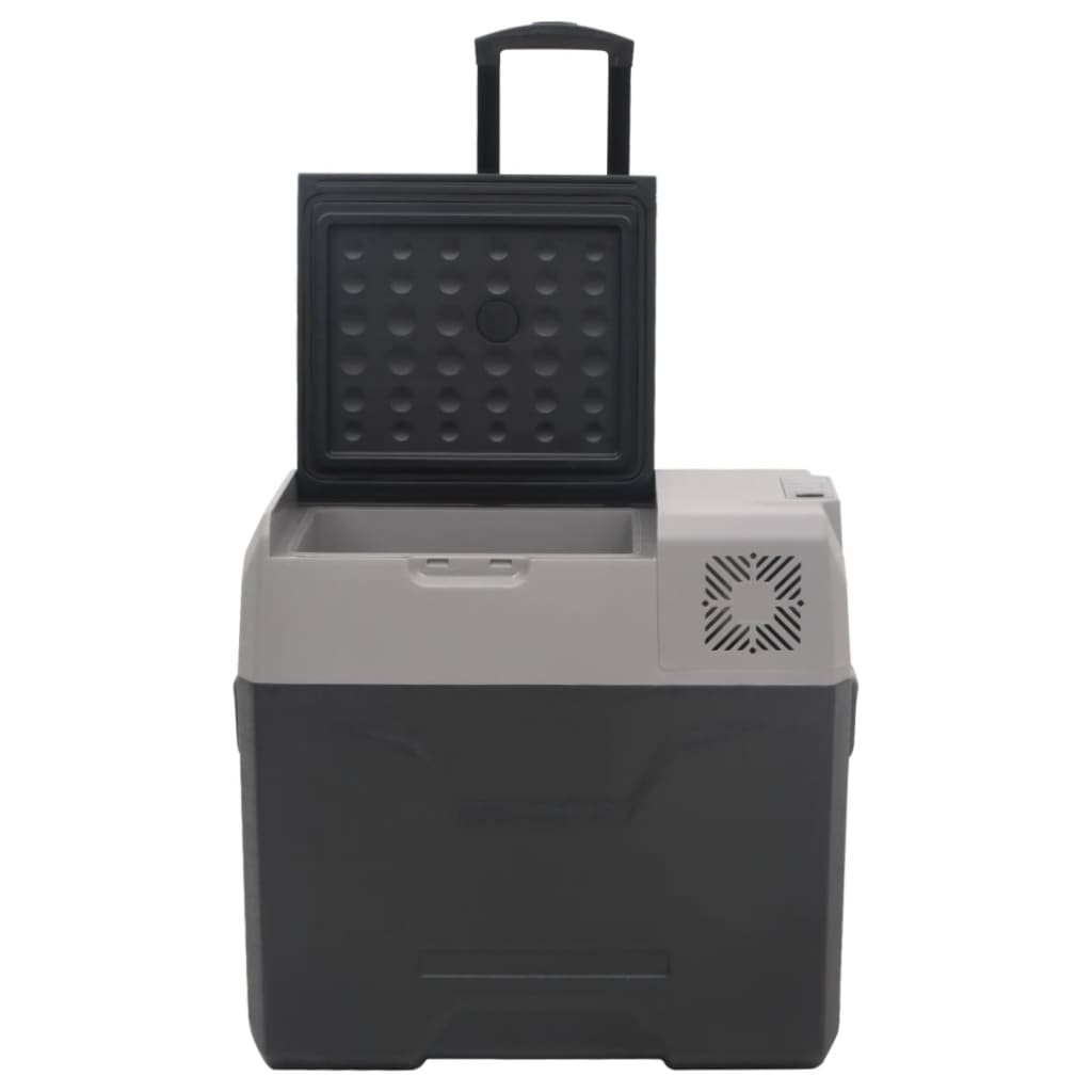 vidaXL Chladiaci box s kolieskom a adaptérom čierno-sivý 30 l PP