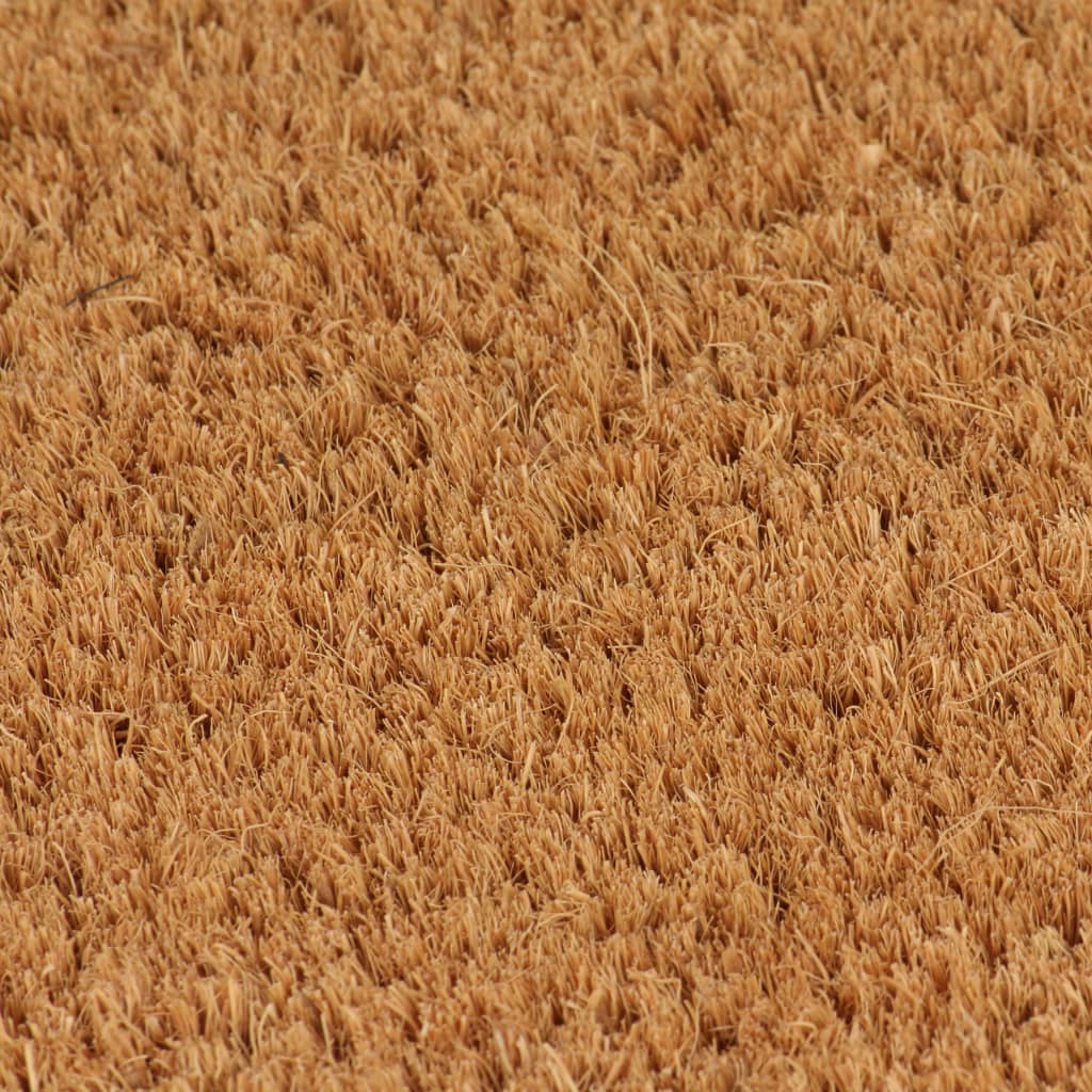 vidaXL Rohožky, 2 ks, kokosové vlákno, 24 mm, 40x60 cm, prírodná farba