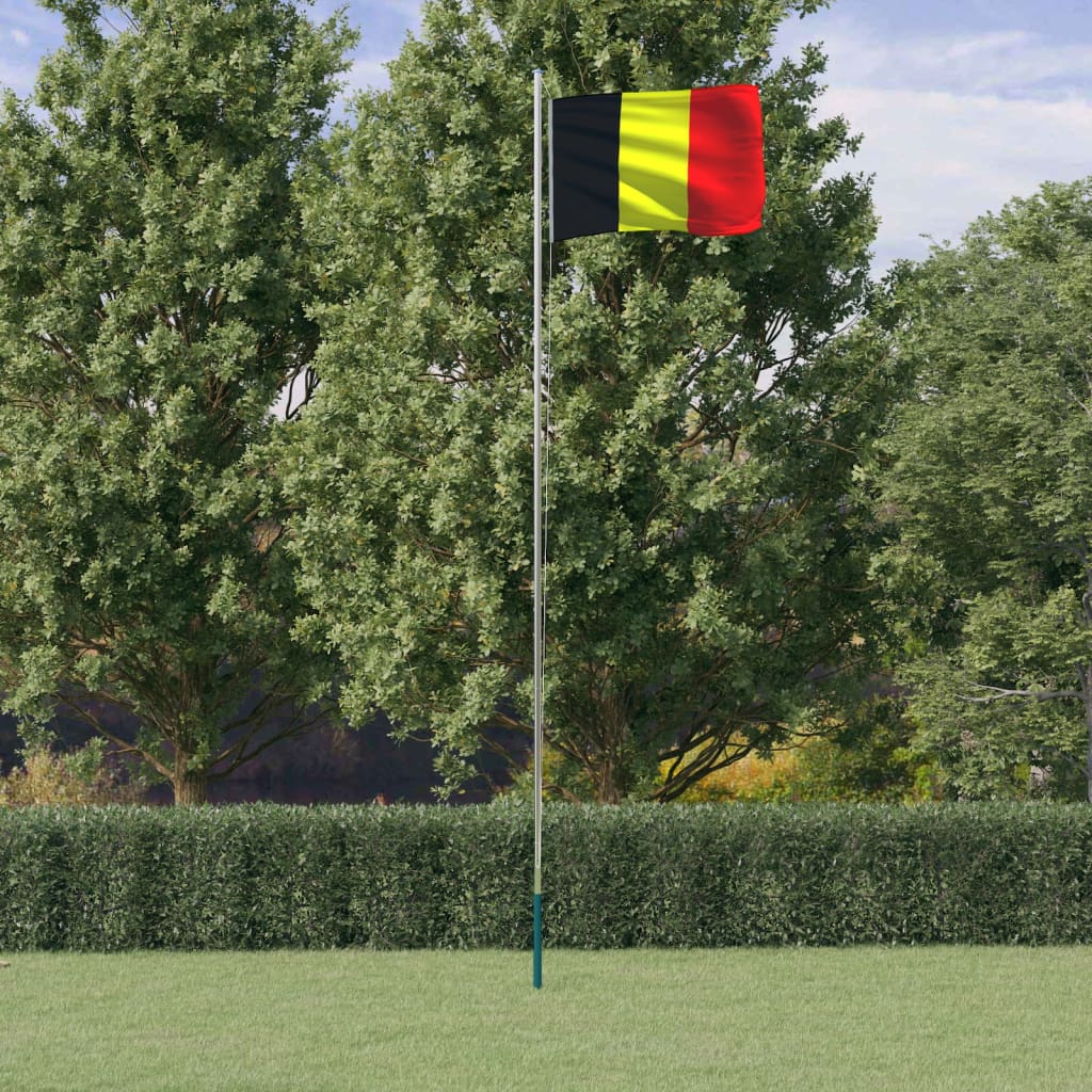 vidaXL Vlajka Belgicka a tyč 6,23 m hliník