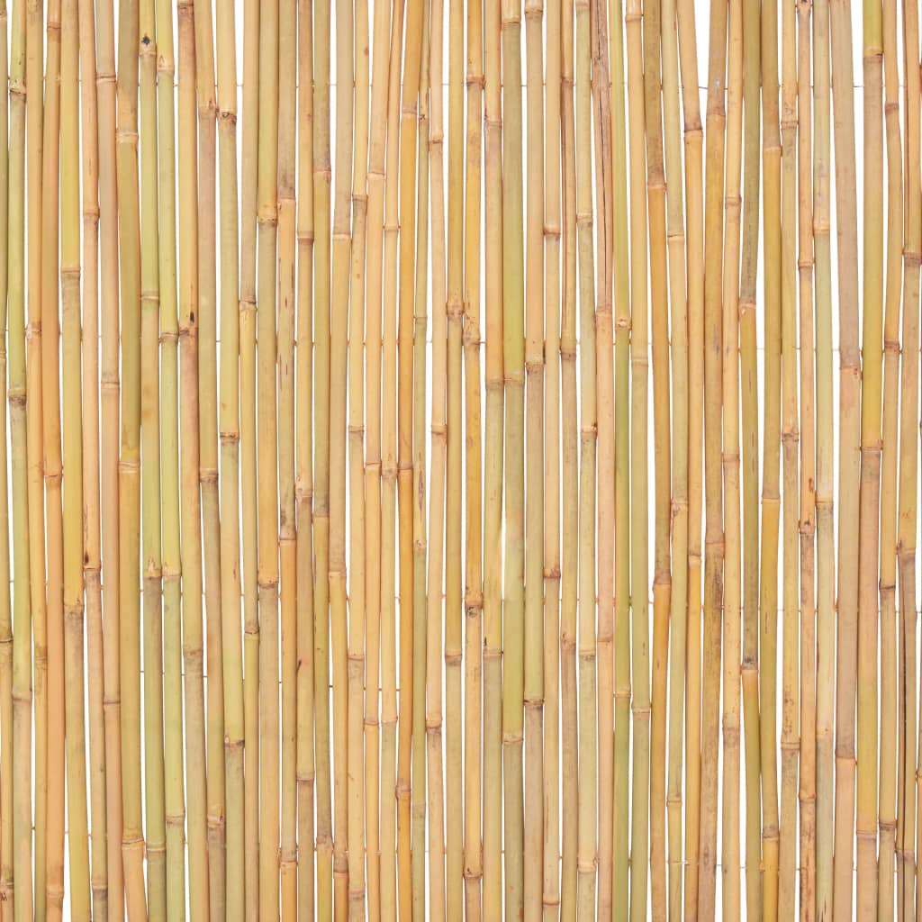 vidaXL Bambusový plot 300x100 cm