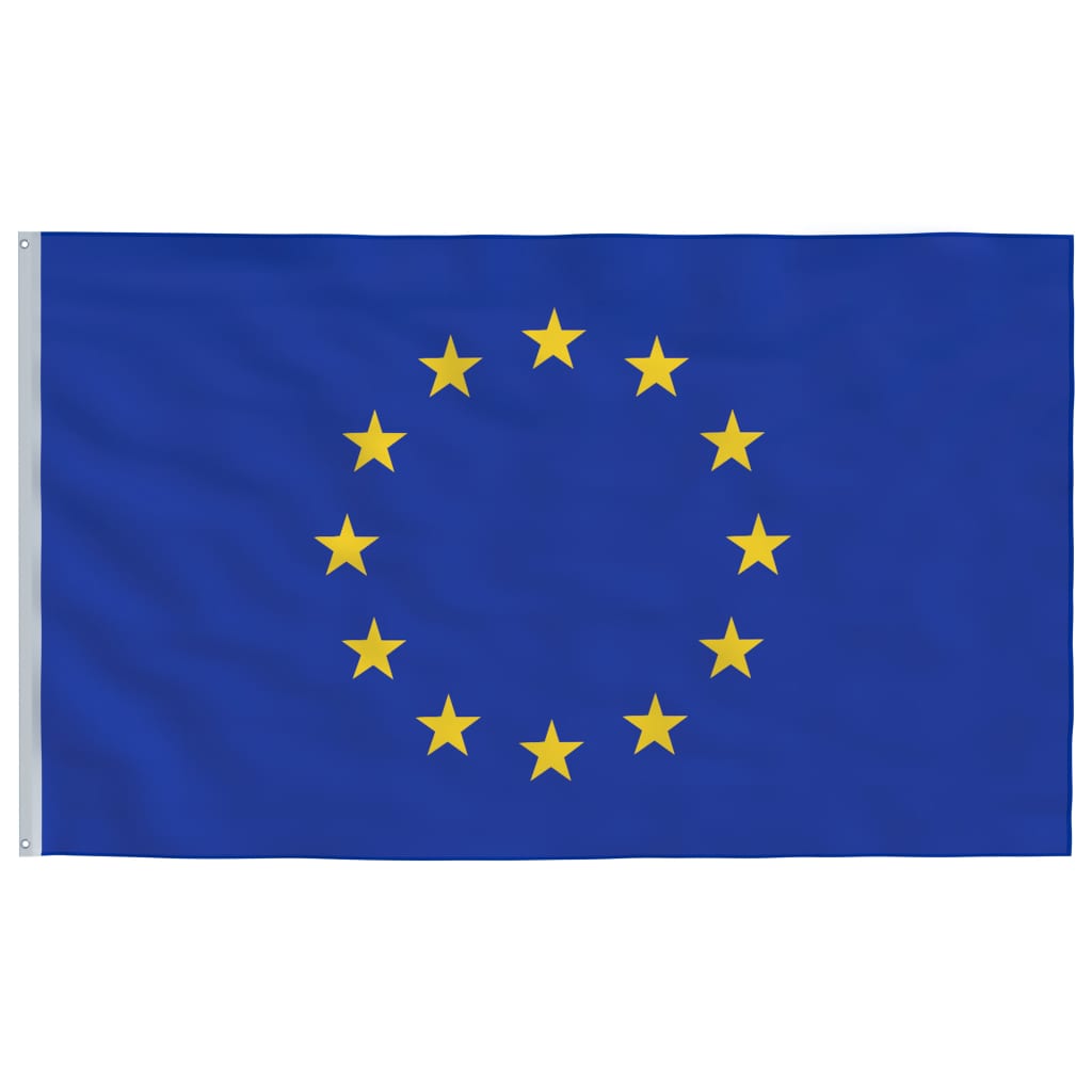 vidaXL Vlajka EÚ a tyč 6,23 m hliník